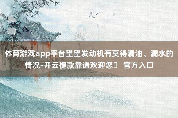 体育游戏app平台望望发动机有莫得漏油、漏水的情况-开云提款靠谱欢迎您✅ 官方入口